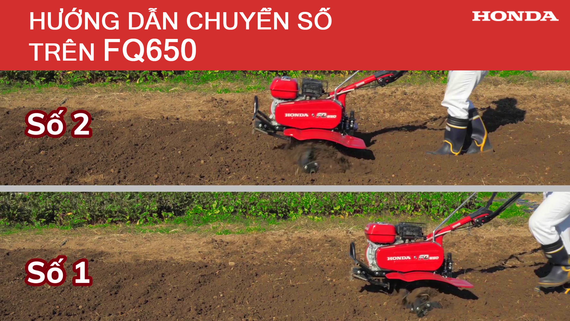 Hướng dẫn chuyển số FQ650