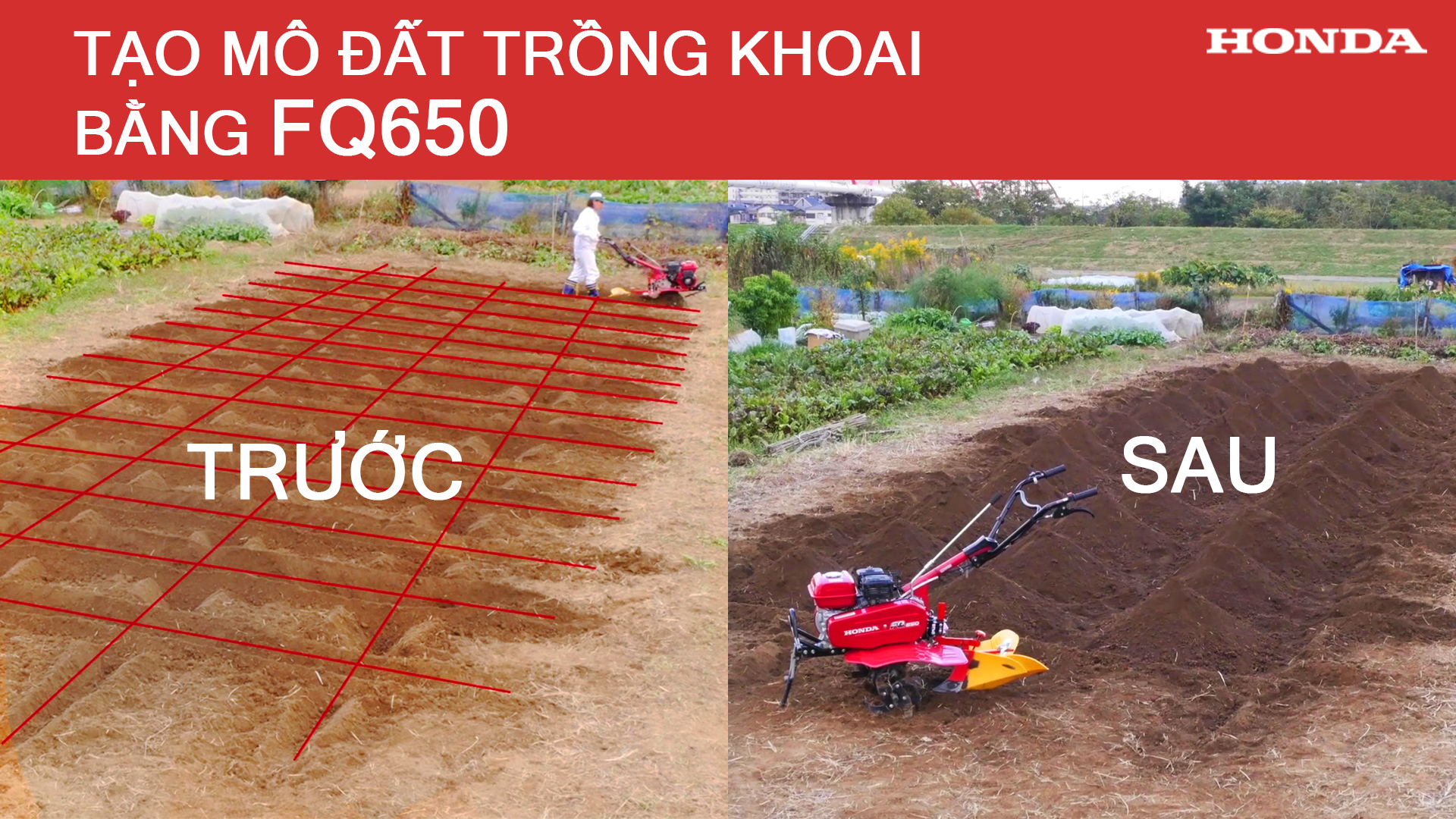 Tạo mô đất bằng FQ650